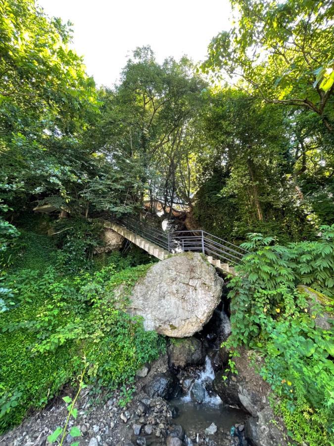 Hotel Biota Квариати Экстерьер фото
