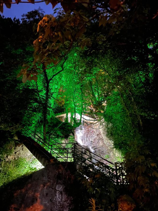 Hotel Biota Квариати Экстерьер фото